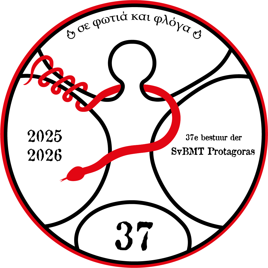 Buitenbioscoop avond